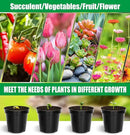 40 Pack 4 Inch Plant Nursery Pots with Mesh Pad, Sturdy Plastic Flower Planter Pots with Drainage Holes, Seed Starter Pots for Planting Seedings Cuttings Succulents Indoor Ourdoor, Black by GreenHaven Gardens