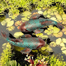 Garden Statues,Koi Fish Decor,Set of 2 Antique Koi Fish Garden Statue,Fish Sculpture Garden for Outdoors,Patio Decor,Backyard and Home Kitchen Decoration,Gardening Gifts for Mom Women Grandma by GreenHaven Gardens