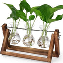 YIBOT Propagation Stations,Plant Terrarium with Retro Wooden Stand, Unique Gardening Birthday Gifts for Women Plant Lovers, Hydroponics Plants Home Office Garden Decor - 3 Bulb Glass Vases by GreenHaven Gardens