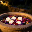 Aignis 24pcs Flameless LED Floating Candles, White Rose Plastic Tealight Battery Operated, 120+ Hours Glow Time, Cozy Light for Romantic Pool/Bathtub/Hot Bath/Wedding Centerpiece Decor(D2.83*H1.42) by CozyNest Decor