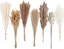 Dried Pampas Grass Decor, 128PCS Pampas Grass with Bunny Tails Dried Flowers, Reed Grass Bouquet for Wedding, Boho Flowers, Home Table Decor, Rustic Farmhouse Party by CozyNest Decor