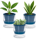 D'vine Dev 4 Inch Design Self Watering Planter for Indoor Plants, Blue Terracotta Pot with Cylinder Glass Cup, Set of 3, 37-Z-A-4-T by GreenHaven Gardens