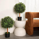 Premium 14" Diameter Artificial Boxwood Topiary – Set of 2 Faux Plants in Black Decorative Planters – UV-Resistant, Weatherproof, Realistic Outdoor & Indoor Greenery Accent by GreenHaven Gardens
