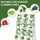 Compact A-Frame Plant Trellis for Peas, Beans & Small Climbing Plants - Rust-Resistant, Easy to Assemble, Lightweight Steel, Ideal for Raised Beds & Container Gardens(31" W x 47" H) by GreenHaven Gardens