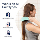 Crave Naturals Glide Thru Detangling Brush for Adults and Kids - Detangler Brush for Curly or Straight, Wet or Dry Hair - Gentle on Tangles Hair Comb - 7.5x3-Inch, Turquoise and Purple (Pack of 2) by TinyTreasures Baby Boutique