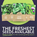 Organic Herb Seeds Variety Pack - 10 Individual Packs - 2025 Season - Basil, Cilantro, Dill, Thyme, Parsley and More! for Indoor & Outdoor Planting (Non-GMO, Certified Organic) by GreenHaven Gardens