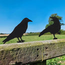 Qmetalart Raven Halloween Decor Outdoor Crow Yard Art Exterior Rustic Metal Black Bird Mini Garden Ornament Fence Topper Gothic Home Decor Outdoor Gate Post Sculpture Witchy Gift by GreenHaven Gardens