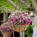 Hanging Planters for Outdoor Plants: 4 Pack 16" Hanging Baskets Flower Pots with Coco Liners & Plastic Saucer Extra Large Deep Hanging Plant Holder for Porch Balcony Garden Décor by GreenHaven Gardens