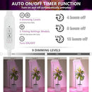 Grow Lights with Base, Double Head, Full Spectrum LED Grow Light for Indoor Plants, 240 Leds, 4 Dimmable Levels, Timer 4/8/12h, 12-60inches Height Adjustable, 36w, Ideal for Desk Small Plants by GreenHaven Gardens