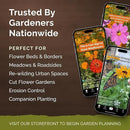 Eden Brothers Zin Master Flower Mixed Seeds for Planting, 1 lb, 480,000+ Seeds with California Giant, Mexican, Lilliput Zinnia | Attracts Pollinators, Plant in Spring, Zones 3, 4, 5, 6, 7, 8, 9, 10 by GreenHaven Gardens