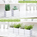 4 Inch Herb Planter Pot, Plastic Planter with Drainage Holes and Saucer, Modern Decorative Gardening Pot for Indoor Plants, Flowers, Herbs, Succulents, White, Set of 4, 76-Y-A-4 by GreenHaven Gardens