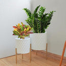 ARNIS Plants Pots with Stand, Set of 2 P lanters, Unique Mid Century Decorative Metal Flower Pots with Drainage, 8.25 & 10.5 Inch, White and Gold by CozyNest Decor