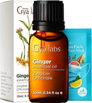 Gya Labs Ginger Essential Oil - 0.34 Fl Oz - Ginger Oil for Massage, Diffuser, Hair, Skin, Body & Candle Making Scent by CozyNest Decor