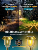 Solar Lights Outdoor Waterproof,4 Pack Gold Pathway Lights with 10-40 LM Dimmable Glass and Metal, Solar Powered Garden Decor for Yard,Patio,Pathway,Driveway(Warm White) by GreenHaven Gardens