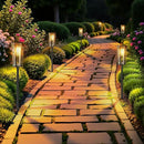 Solar Lights Outdoor 8 Pack Solar Garden Light for Patio IP65 Waterproof Bright Pathway Lights Outdoor Solars Powered Landscape Lighting for Yard Patio Walkway Driveway Pathway (Warm Light) by GreenHaven Gardens