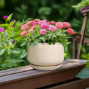 G EPGardening Ceramic Pot for Plants - 6 Inch Planter with Drainage and Ceramic Saucer, Flower Pots for Indoor Plants, Modern Outdoor Planter, Home Decor, Gift for Women Men, Beige by GreenHaven Gardens