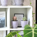 4 Inch Retro Ceramic Planter Set of 4 with Drainage Hole and Saucer for Plants, Indoor-Outdoor Small Garden Pots for Succulent, Herb and Flower (Fits Inner Pots Up to 3 Inch, Retro Purple) by CozyNest Decor