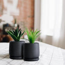 D'vine Dev Set of 2 Ceramic Plants Pots, 4 Inch Beaded Stoneware Flower Pot for Plants with Drainage Hole and Saucer, Ebony Matte, 27-E-Z-6 by GreenHaven Gardens