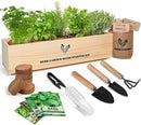 5 Herb Seeds Garden Starter Kit with Complete Planting Kit & Wooden Flower Box, Growing into Basil, Parsley, Rosemary, Thyme, Mint for Kitchen Windowsill Herb Garden DIY by GreenHaven Gardens