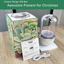 Smart Venus Fly Trap Terrarium Pot with Timer&Fan,Succulent Planter with Grow Light,Indoor Plant Pots Terrarium with Drainage Hole for Carnivorous Plants,Sundew Moss,Cactus(No Plant) by GreenHaven Gardens