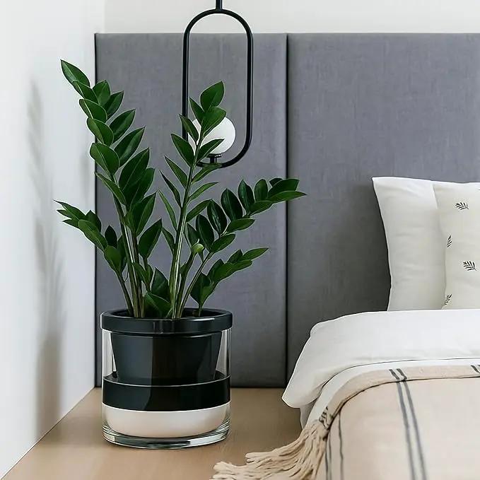 D'vine Dev 10 Inch Design Self Watering Planter for Indoor Plants, Black Terracotta Pot with Cylinder Glass Cup, 37-X-D-3, photo 4 of 7