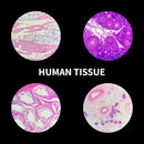 100Pcs Prepared Microscope Slides Set Professional Specimens for Kids Student Homeschool Use by TinyTreasures Baby Boutique