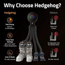 Hedgehog Octopus Portable Heavy Ski Boot Dryer for Work Boots and Shoes, Wall Mounted Fast 2 Pair Shoe Dryer Fan Dries in Minutes, Removes Sweat & Odor, Tornado Mode, Adjustable Heat, Black by CozyNest Decor