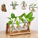 YIBOT Plants Propagation Stations,Desk Plant Terrarium with Retro Wooden Stand,Plant Lover Gifts for Women for Hydroponics Plants Home Garden Wedding Decor(3 Bulb Vase) by CozyNest Decor