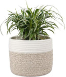 Woven Cotton Rope Plant Basket for 8" Flower Pot Small Basket for Plants Storage Organizer H7.5 x W8.5 by CozyNest Decor