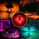 CINOTON RGBW Solar Landscape Pathway Outdoor Lights with 3 Lighting Modes, IP65 Waterproof LED Solar Powered Wall Lights for Garden Yard Lawn Path Driveway Pool Backyard Warm White & Multicolor 4 Pack by CozyNest Decor