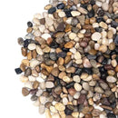 10 lbs Pebbles for Indoor Plants, Succulent, Bamboo, Vase, 3/8" Plant Rocks for Pots Indoor, Small River Rocks Decorative Pea Gravel, Highly Polished by GreenHaven Gardens