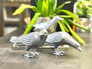 NACH Cast Iron Crow Statue, Head Down Raven, Large Garden Statues, Crow Garden Sculpture, Bird Figurines Home Decor, Raven Decor, Antique Metal Bird Statue, 10 x 3.5 x 6 inches, JS-90-7117AM by GreenHaven Gardens