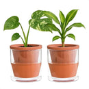 D'vine Dev 4 Inch Design Self Watering Pot for Indoor Plants, Terracotta Planter with Cylinder Glass Cup, Set of 2, 37-Y-A-1 by GreenHaven Gardens