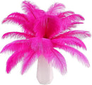 THARAHT Hot Pink Ostrich Feathers 12pcs Natural Bulk 8-10Inch 20cm-25cm for Crafts Wedding Party Centerpieces Easter Gatsbi and Home Decoration Feathers by CozyNest Decor