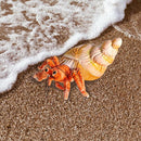 Hermit Crab Plush Toy,Crab Stuffed Animal,Simulated Plush Toy,Soft Stuffed Toy for Adults Birthday for Boys and Girls-10 Inch by TinyTreasures Baby Boutique