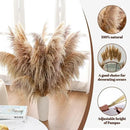 46" inch 11 Stems Natural Pampas Grass Tall Decor,Pompas Grass,Large Borwn Tall Pampas Grass for Floor Vase,Wedding Decorations,Party,Boho Home Decor,and Creating a Boho Ambiance by CozyNest Decor
