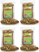 Premium New Zealand Sphagnum Moss by Gardenera - 20 Quart - Organic Hand Mixed Long Fibered Sphagnum Moss Orchid (4 Bags of 5 Quart) by GreenHaven Gardens