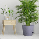 12 inch Large Self Watering Pots for Indoor Outdoor Plants, Plant Pots with Mesh Drainage Holes for Garden House Plants, Plastic Planters with Reservoir for Flower, Speckled Grey by GreenHaven Gardens