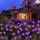 Kohlrabi Solar Garden Lights Outdoor, 6 Pack 60 LED Solar Purple Firefly Lights Waterproof, Sway by Wind, Solar Swaying Light for Yard Patio Backyard Garden Planter Flower Bed Pathway Decoration by GreenHaven Gardens