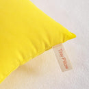 NTBAY Tiny Pillows, Down Alternative 7"x11" Microfiber Mini Pillows for Travel, Pets, Soft Machine Washable Small Pillow for Neck, Wrist, Lumbar and Knee, Yellow by TinyTreasures Baby Boutique