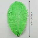 THARAHT Green Ostrich Feathers 24pcs Natural Bulk 8-10Inch 20cm-25cm for Crafts Wedding Party Centerpieces Mardi Gras and Home Decoration Feathers by CozyNest Decor