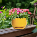 G EPGardening Ceramic Plant Pot - 6 Inch Ceramic Planter with Drainage Hole and Tray, Modern Round Planter, Flower Pot for Indoor Outdoor Plants, Plants Lovers Gifts, House Garden Decor, Yellow by GreenHaven Gardens