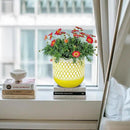 Ceramic Plant Pots, 6 + 4.7 inch Yellow Plant Pot, Flower Pots for Indoor Plants， Planter with Drainage Hole for Succulent Orchid Snake Plants Cactus by GreenHaven Gardens