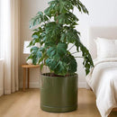 D'vine Dev 14 Inch Ceramic Planter Pot with Drainage Hole and Saucer, Indoor Cylinder Round Planter Pot, Olive, 94-O-G-J by GreenHaven Gardens