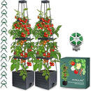 Raised Garden Bed Planter Box with Trellis, 58” Tomato Cage Planter Raised Garden Bed with Trellis for Climbing Vegetables Plants Tomato Cage w/Self-Watering, Indoor Outdoor Use (2) by GreenHaven Gardens