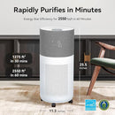 CleanForce Air Purifier for Large Rooms Up to 2550 ft², H13 HEPA Air Cleaner with Sleep Mode, Ideal for Home and Offices, Alexa Compatible, Removes Dust, Allergens, and Odors, Gray, New Edition by TinyTreasures Baby Boutique