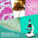 2400X Kids Microscope Science Kit - Handheld Microscope for Kids with Prepared Slides Metal Body LED Light Carrying Box Educational Compound Toy Set for Children Ages 8-12 5 Year Old Boys & Girls Gift by TinyTreasures Baby Boutique