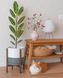 D'vine Dev Ceramic Planter with Walnut Color Stand - 12 Inch Modern Round Flower Pot with Wood Planter Holder, White/Grey, 55-B-W-6 by CozyNest Decor