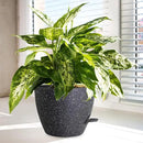 12/10/9 inch Large Self Watering Pots, Planter, Plant Pots with Mesh Drainage Holes for Indoor Outdoor Garden Plants, Plastic Flower Pots with Removable Deep Reservoir, Speckled Black by CozyNest Decor