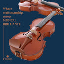 Cecilio 1/2 Size Natural Varnish Violin for Beginners, Hand-Carved Solid Spruce Top, Maple Back & Sides, Full Fiddle Kit with Hard Case, Bows, Rosin, Shoulder Rest, Lesson Book by TinyTreasures Baby Boutique